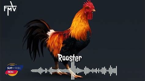 Rooster Tone