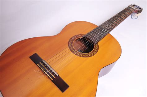Nice Acoustic Guitar