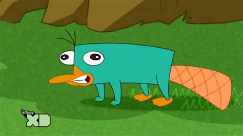 Perry The Platypus Sound
