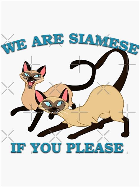 We Are Siamese If You Please