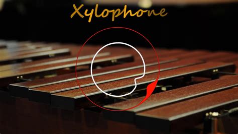 Xylophone Ring Tone