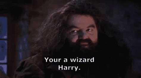 You Re A Wizard Harry