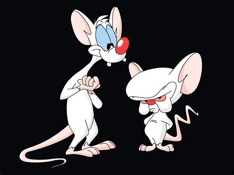 Pinky And The Brain Theme Song