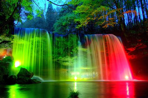 Rainbow Forest Ringtone
