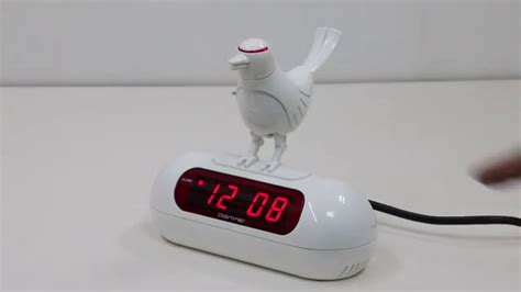 Birds Alarm