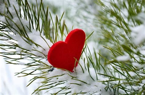 Winter of Love Ringtone