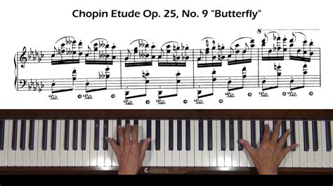 Chopin Butterfly Ringtone