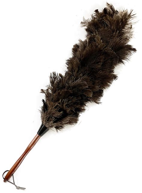 Feather Duster Ringtone