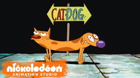Catdog Theme Song Ringtone