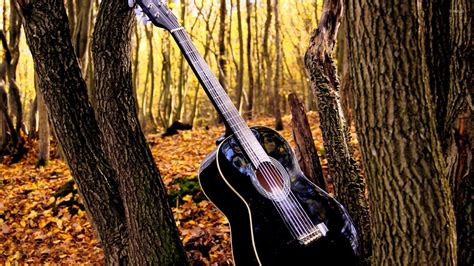 Forest Guitar Ringtone