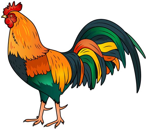 Free Rooster Ringtone