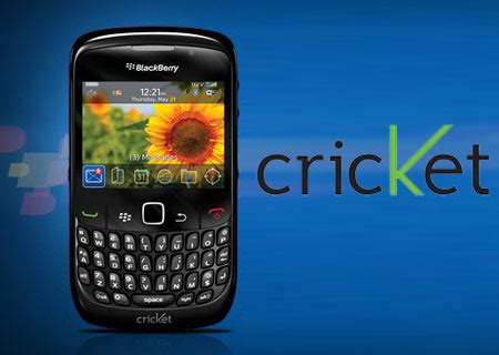 Cricket Blackberry Ringtone