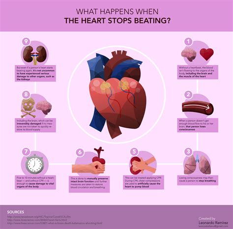 Human Heart Stops Beating Ringtone