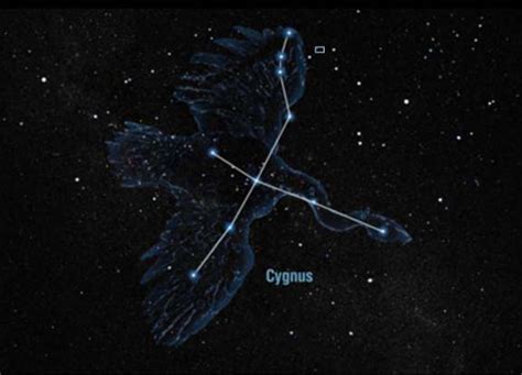 Cygnus Ringtone