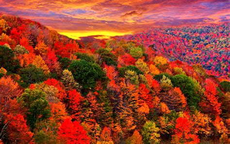 Colorful Autumn Ringtone