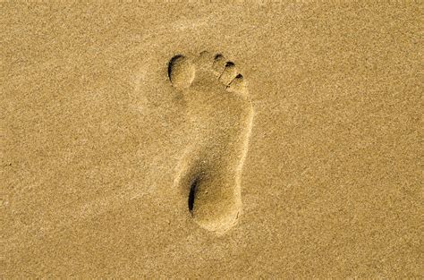 Footprint Ringtone