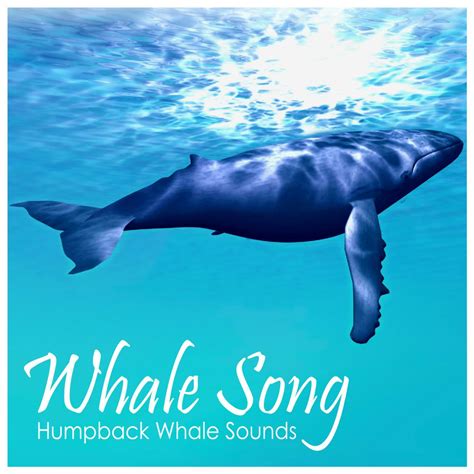 Whale Song Ringtone